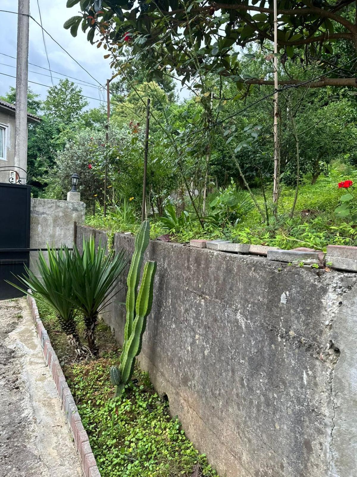 Shamil House Guest House Makhinjauri Luaran gambar